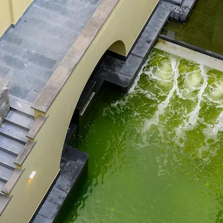 Grand Castrocaro Longlife Formula