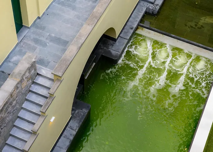 Grand Castrocaro Longlife Formula